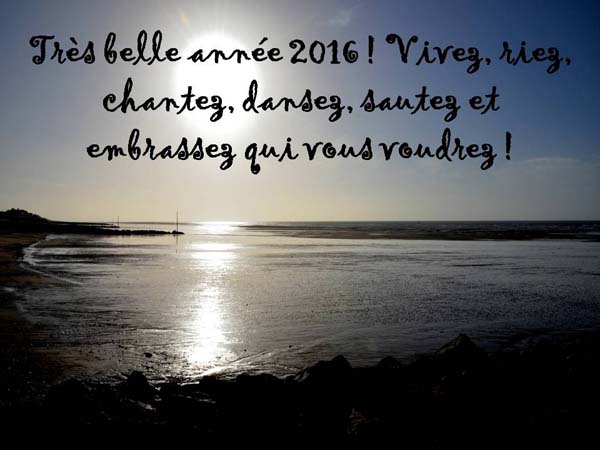 Bonne année 2016