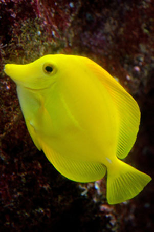 Les personnages du tome 4