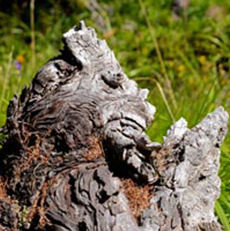 Les personnages du tome 2