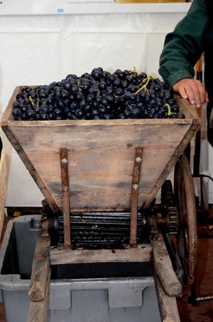 Stand du raisin de la fête des vendanges 2014 de Sartrouville