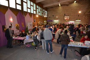 Vue d'ensemble sur le Salon du livre de Sartrouville 2013